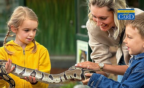 Reptilien ganz nah sein beim Wörthersee