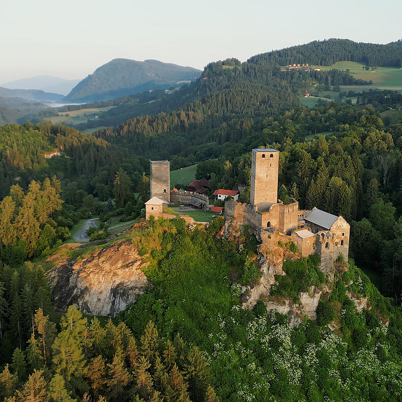Blick auf die Burgruine Liebenfels