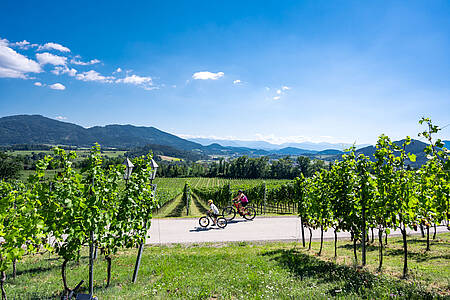 Mittelkärntner Weinradtour