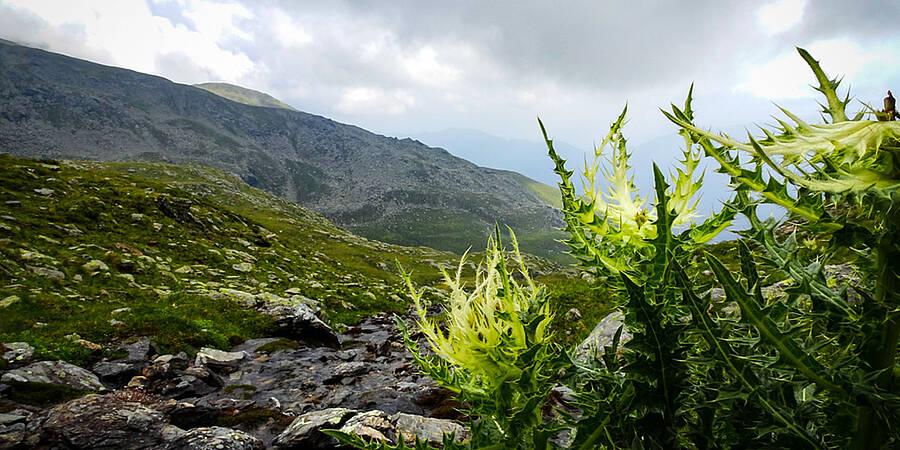 Weitwandern am Kreuzeck Höhenweg  