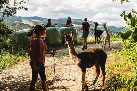 Gourmet, Wein und Alpakas