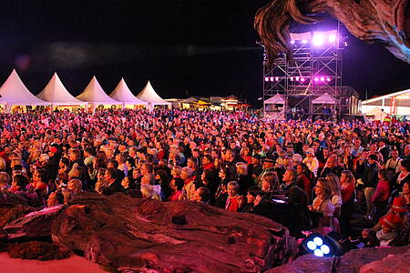 „Wenn die Musi spielt“ Sommer Open Air