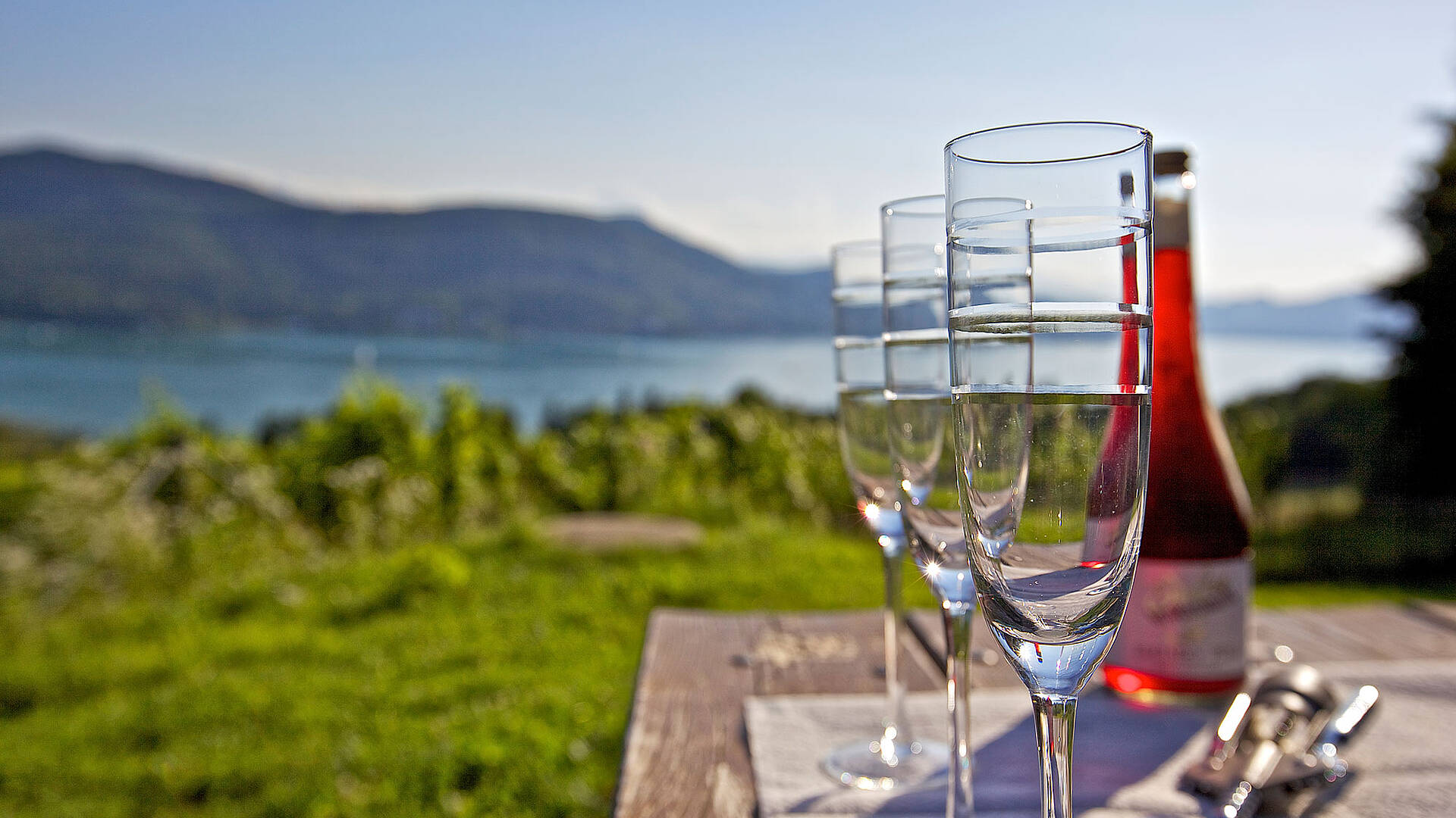 Kärntner Wein