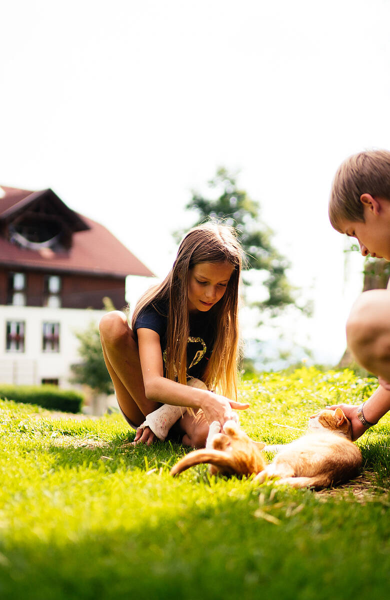 Kinder mit Katzen beim Zeilinger  
