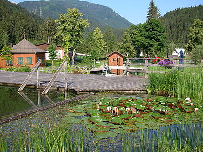 Naturschwimmbad Waldbad  in Mauthen 