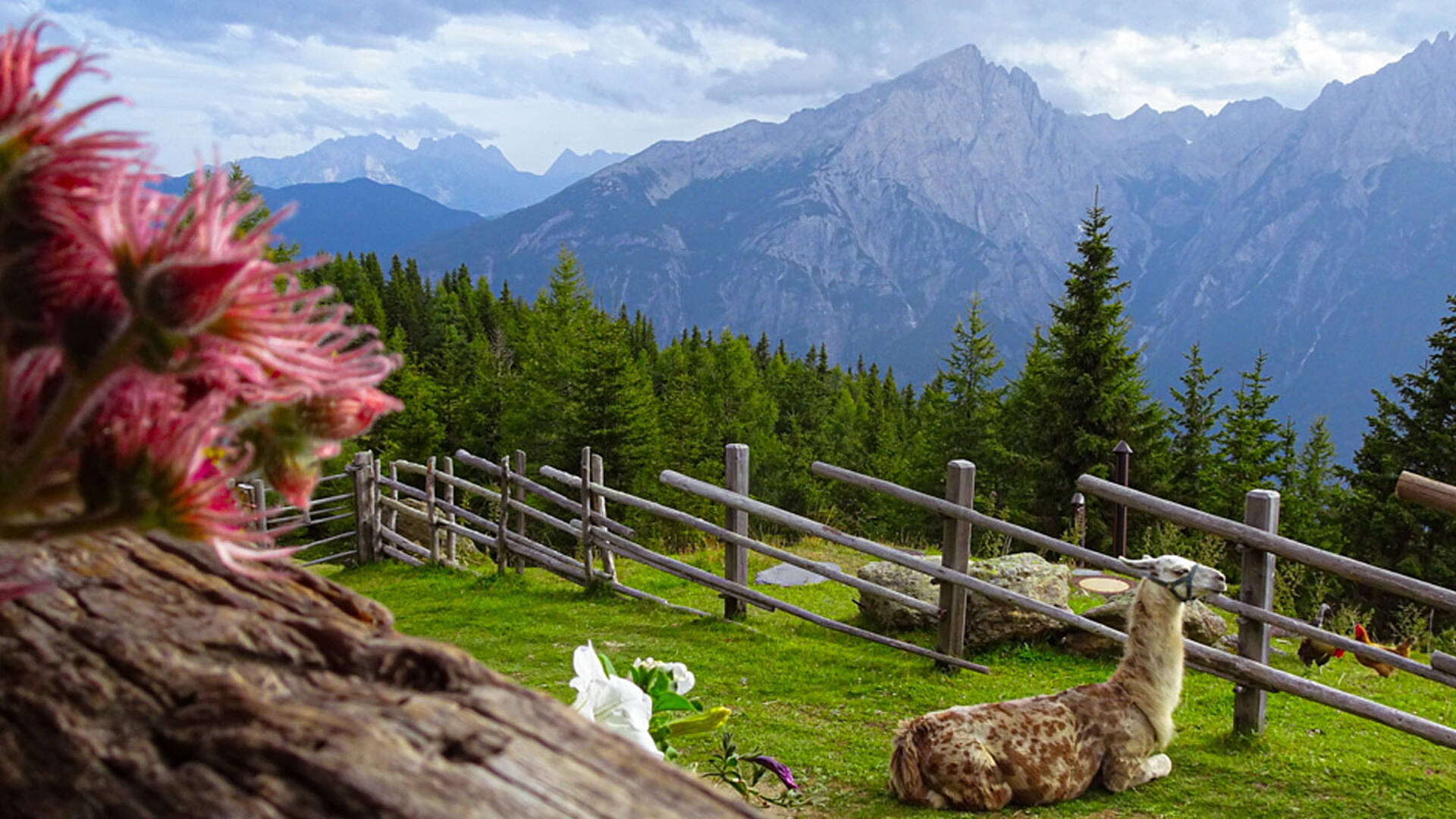 Weitwandern am Kreuzeck Höhenweg  