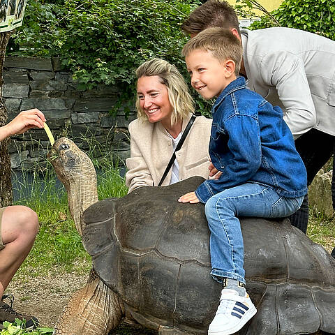 Beim Fuettern der Schildkroete im Reptilienzoo Happ