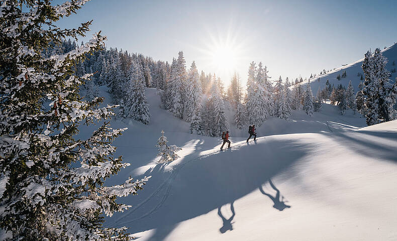 Zwei Personen bei der Skitour im Naturpark Dobratsch  