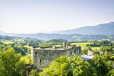 Blick auf die Burg Sommeregg