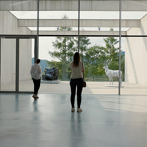 Museum Liaunig Südkärnten mit Sabine Ertl