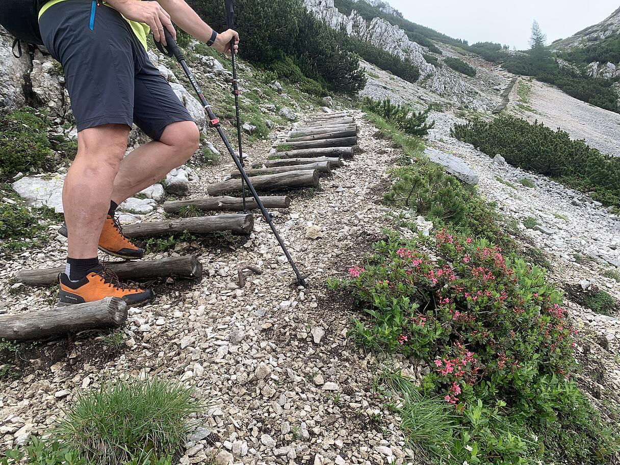 Wandern auf der Petzen über den Kniepssteig