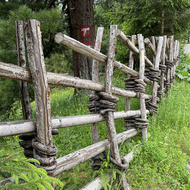 Zaun am 3 Seen Weg auf der Turracher Hoehe