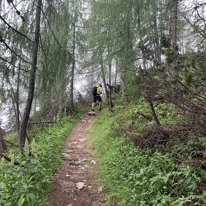 Wandern auf der Petzen