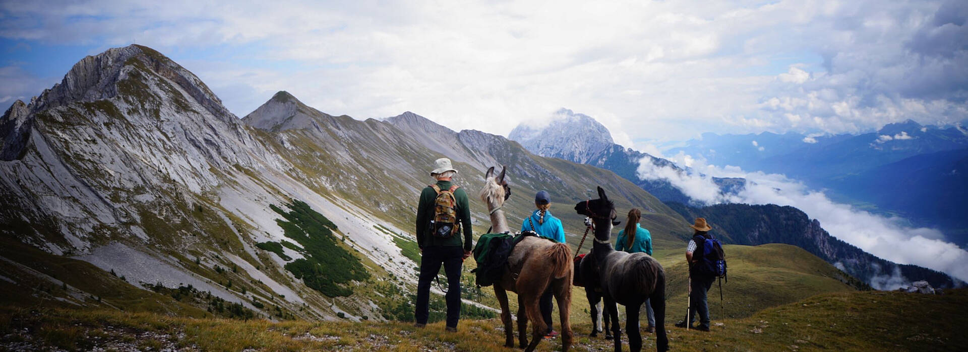 Lama-Trekking im Gailtal  